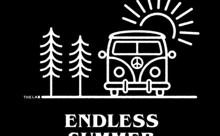 Endless Summer VW Show